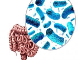 Estabilidad del microbioma se asocia a mayor rendimiento en atletas